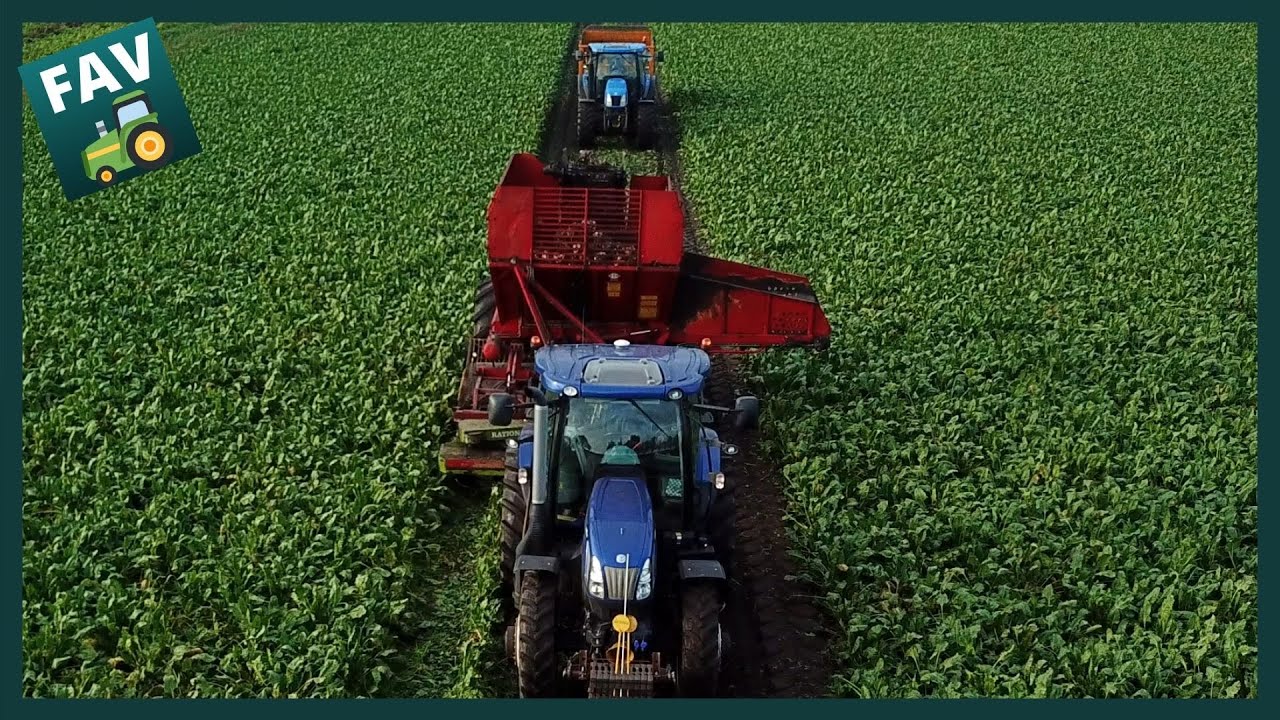 Bieten rooien 2020 volledig overzicht | TIM KRB 311 | New Holland T6.160