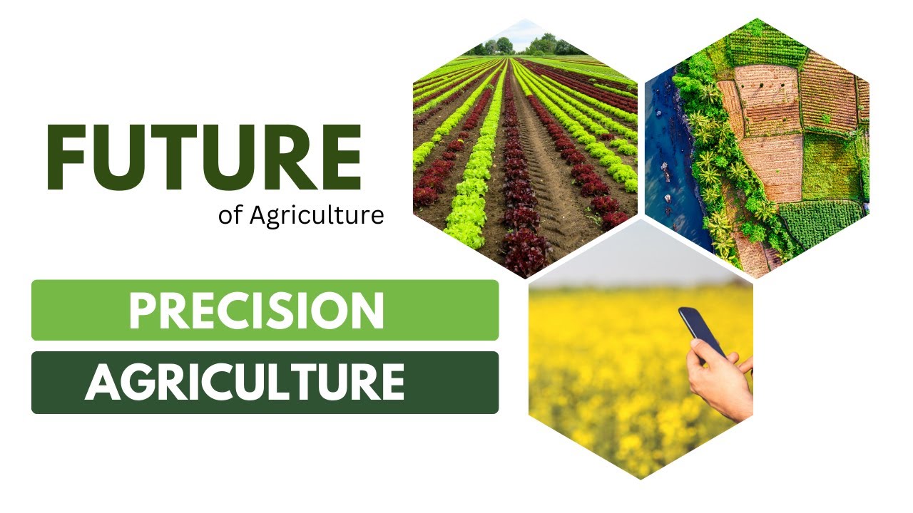 Precision Agriculture in 2024 ||