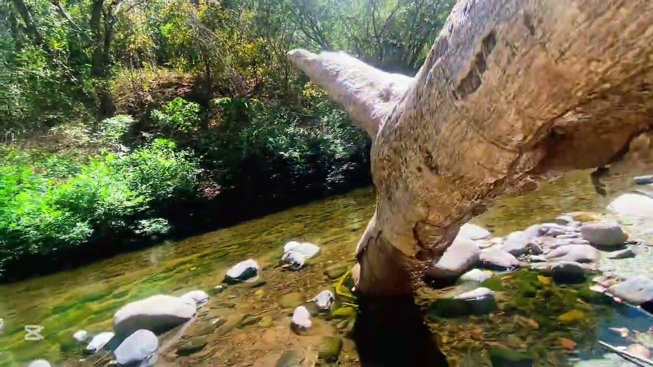 Nos fuimos a bañar y disfrutar en familia 😊