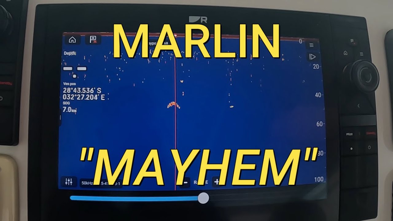 Richards Bay Double Marlin Mayhem! 