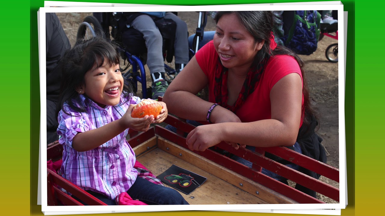 BSN - Fall Fun at the Pumpkin Patch!