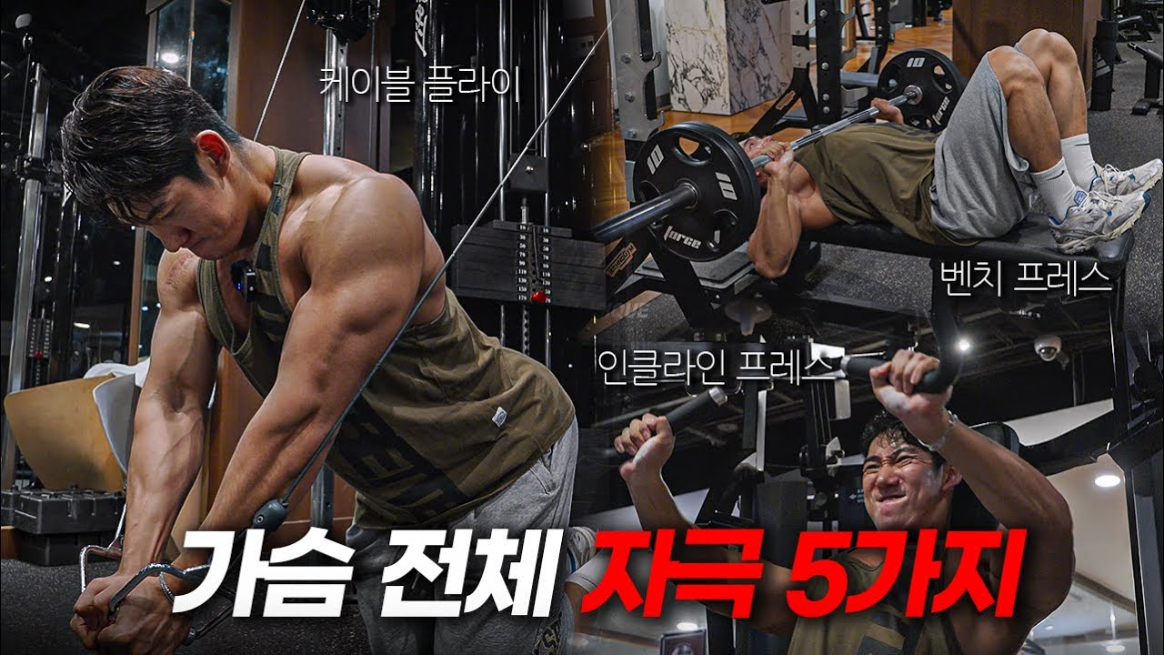 넓고 탄탄한 가슴을 위한 전체 자극 가슴 운동 루틴 5가지