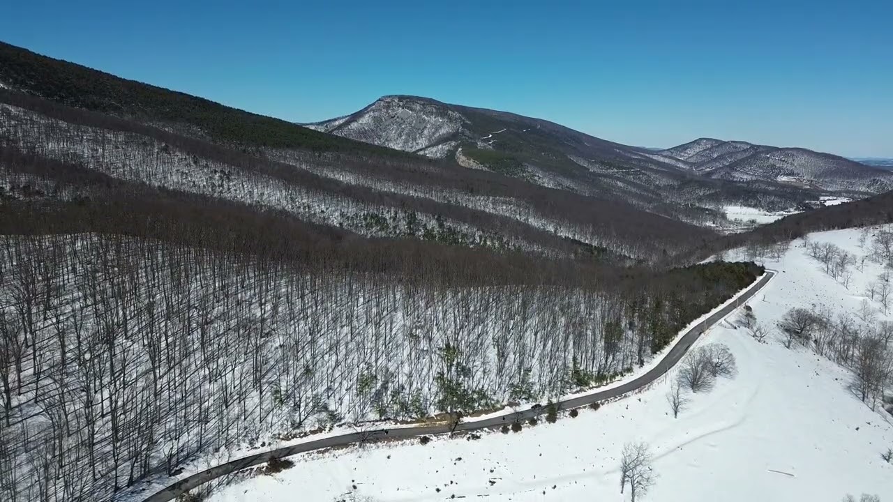VIDEO 1