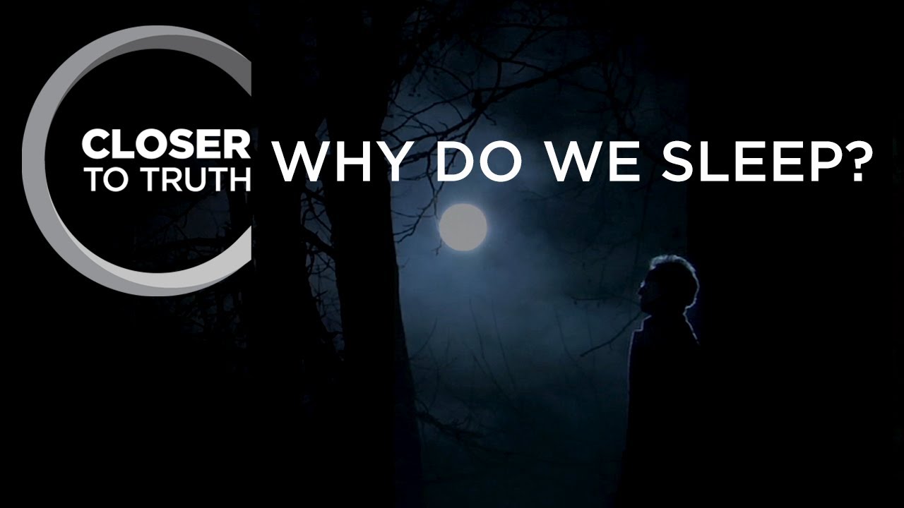 Why Do We Sleep? | Episode 1207 | Closer To Truth