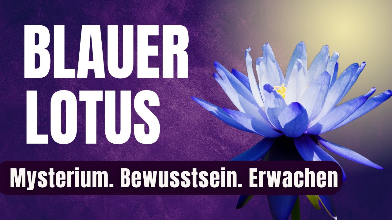 Das Geheimnis des Blauen Lotus – Spirituelle Bedeutung & Hintergründe