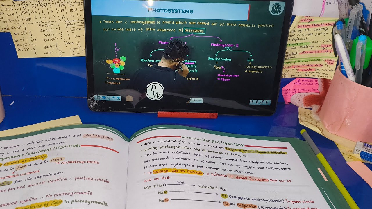 ✨DAY 8/75 of NEET HECTIC HELL HARD DAYS🔥 SLOT-4 High Grind REVISION STARED ✨ Complete plant physio🥴