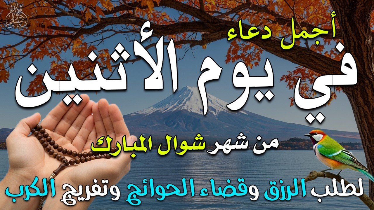 دعاء فى يوم الأربعاء المستجاب دعاء فى يوم 28 من شهر رمضان للرزق والشفاء العاجل وقضاء الحوائج 🤲(4k)