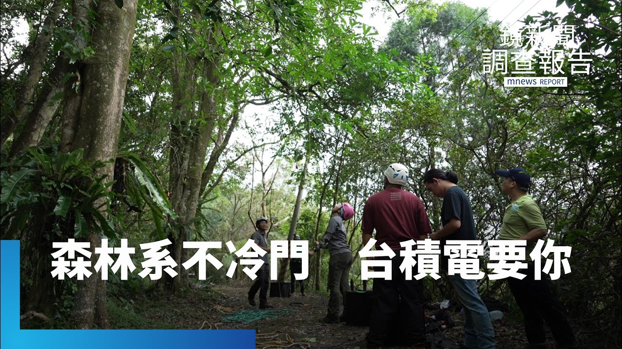 We Want you！冷門科系「森林系」翻身　碳權時代各方搶才　林地覆蓋率6成　為何林業不興？　回顧保林運動｜我冷門我驕傲｜鏡新聞調查報告｜#鏡新聞