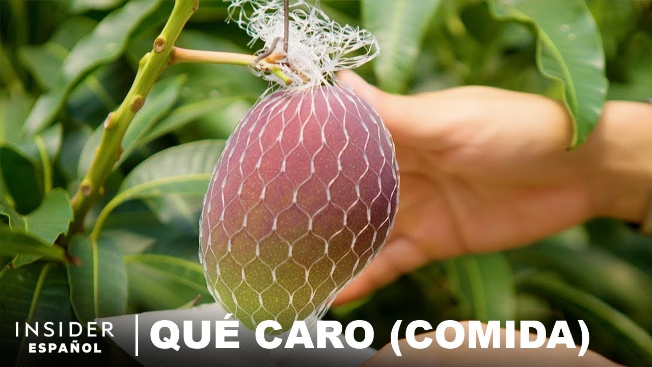Por qué los mangos de Miyazaki son tan caros | Qué caro (comida) | Business Insider