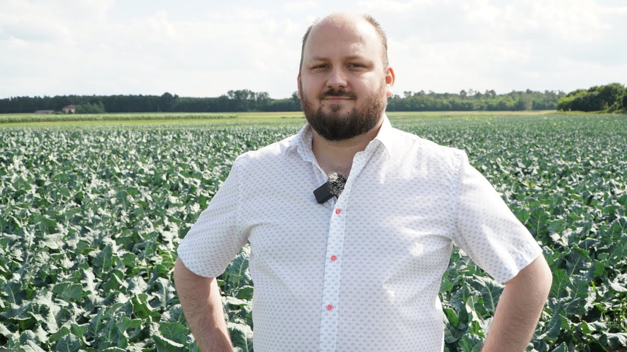 Mrożone brokuły i nie tylko... Co ma znaczenie w uprawie warzyw i owoców do mrożenia? CK Frost