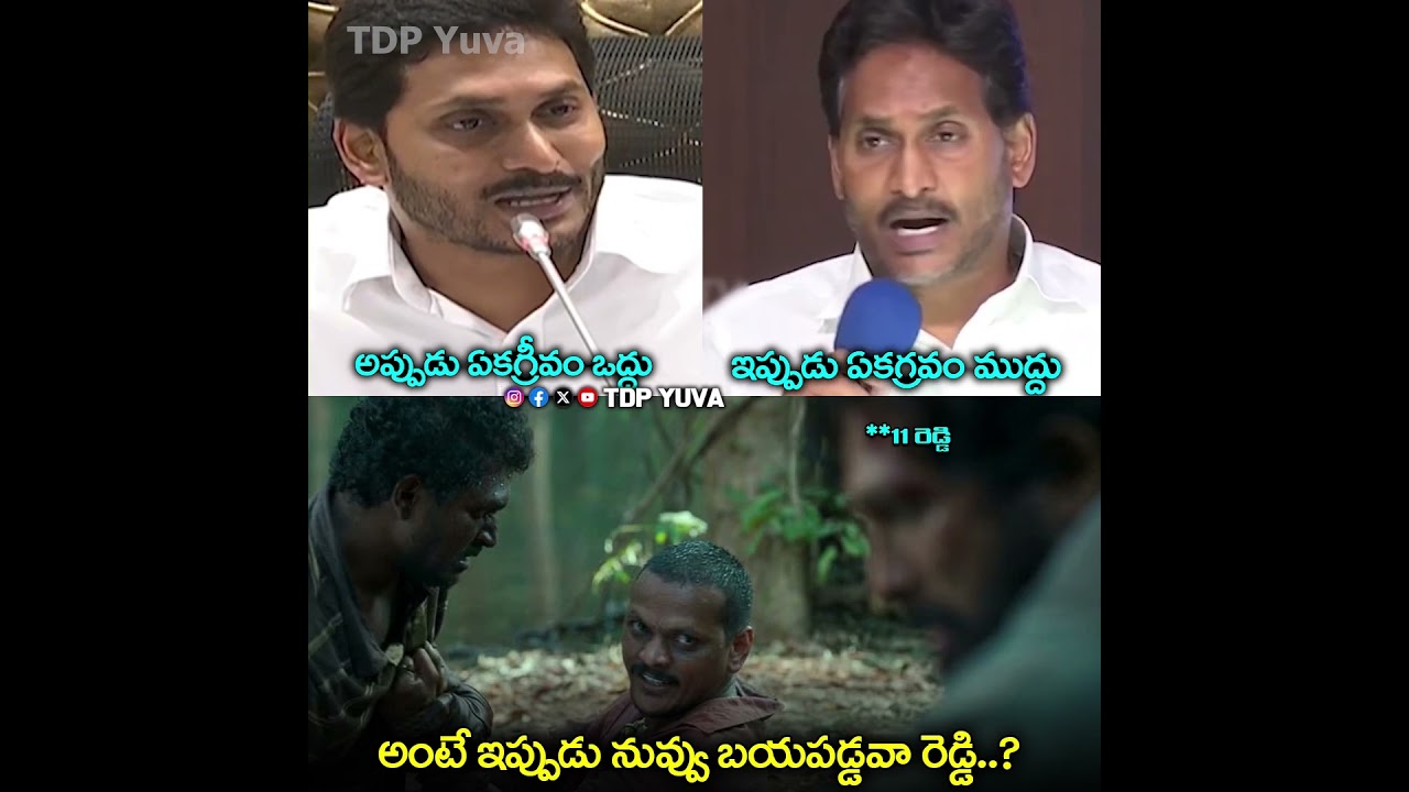 బయపడ్డవా 11 రెడ్డి🔥🔥🔥| YS Jagan Local Body Elections | #ysjagan #ycp #apnews #tdp #ytshorts #tdpyuva