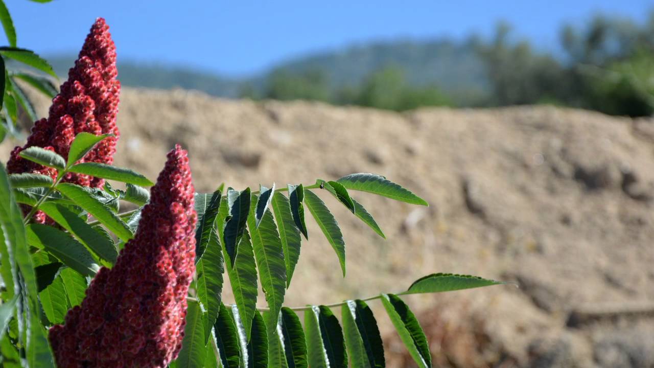 Casa rural Lalisea - Un oasis en La Vera (Talaveruela de la Vera - Caceres) HD