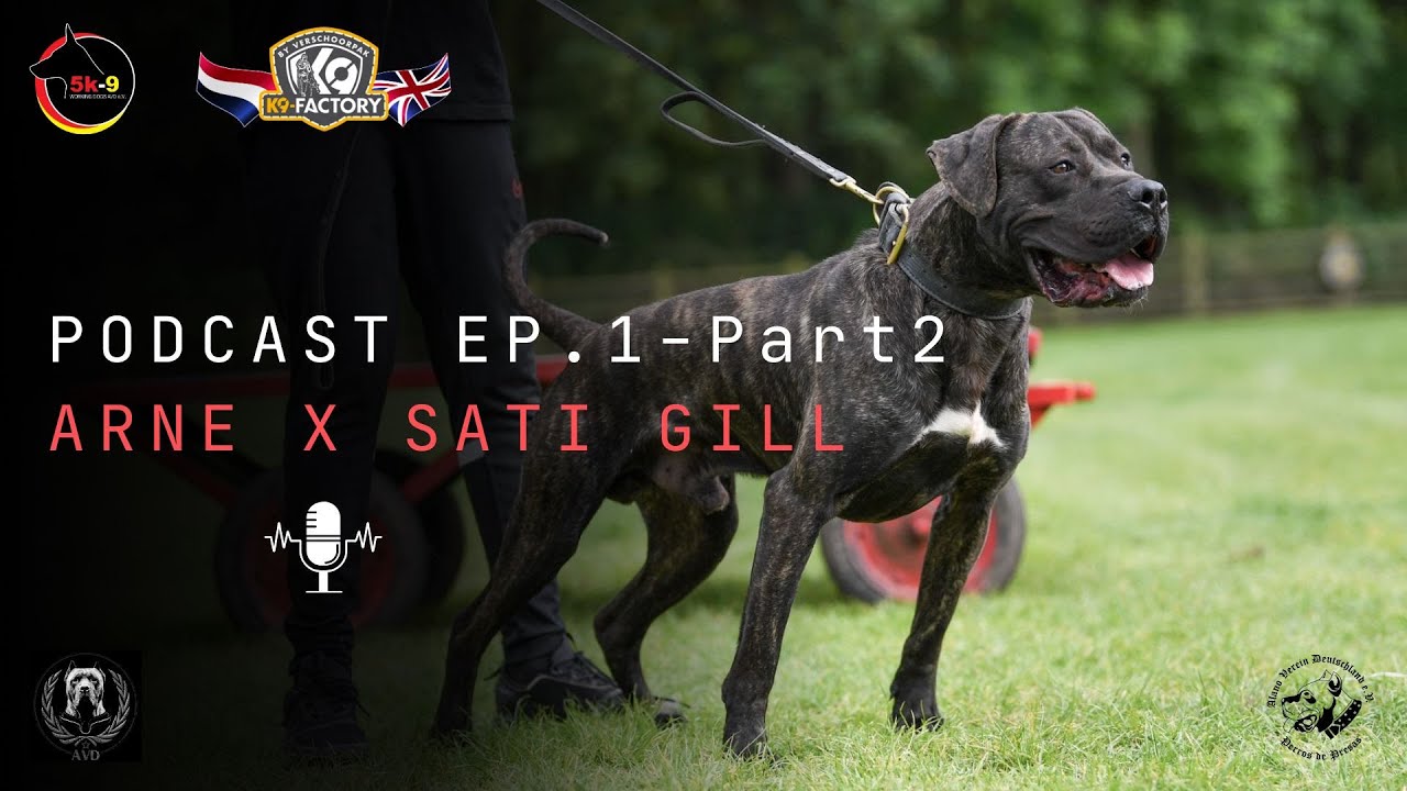 Interview with Arne Pohlmeyer - 5K9 Podcast Episode 1 Part 2