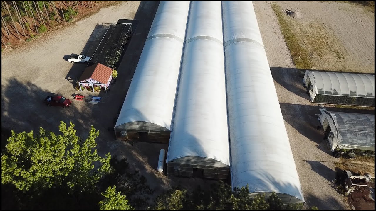 Rare Plant Nursery with Amazing Greenhouse