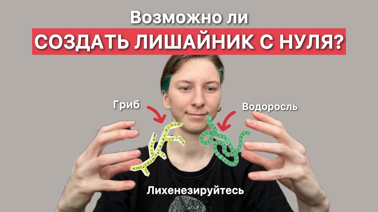 Ресинтез