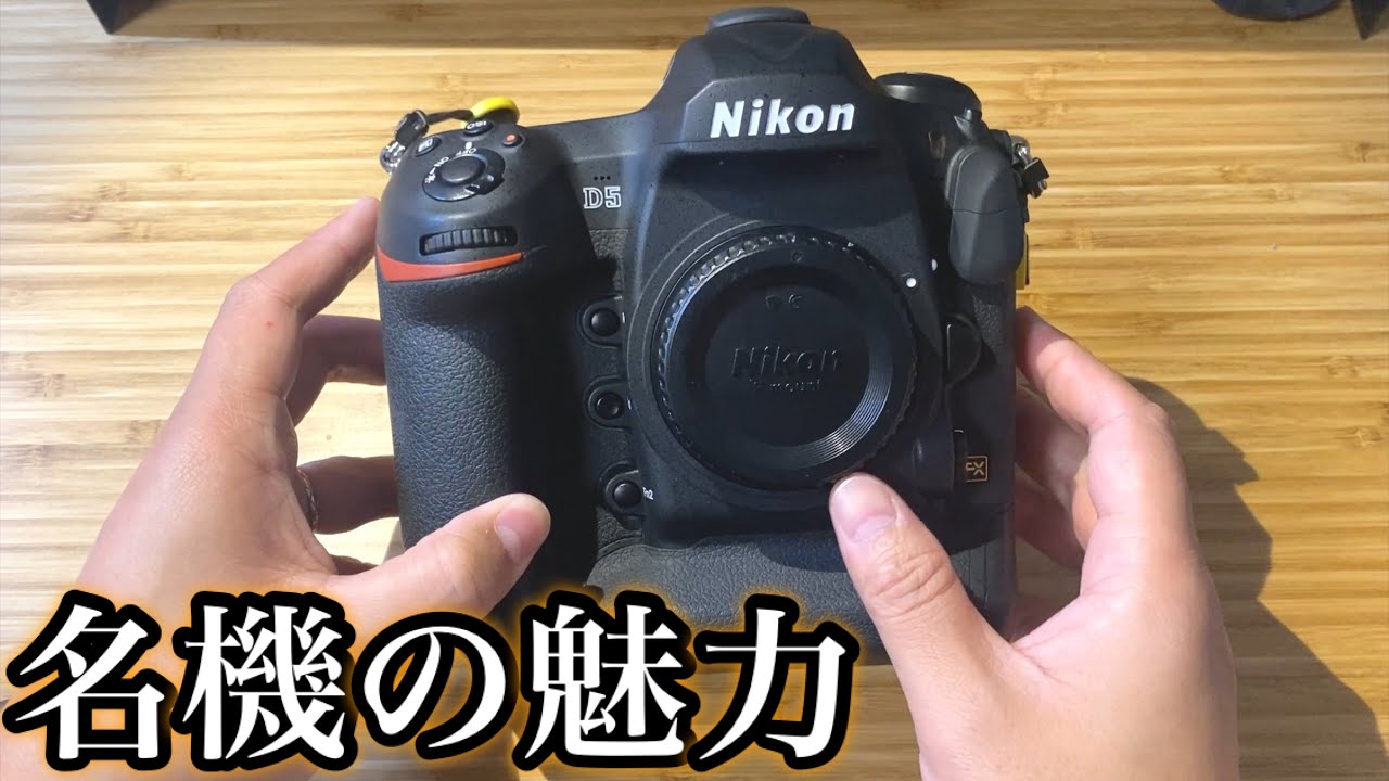 【時代に逆行雑談】世代違いのフラッグシップ - 名機 Nikon D5の魅力 -