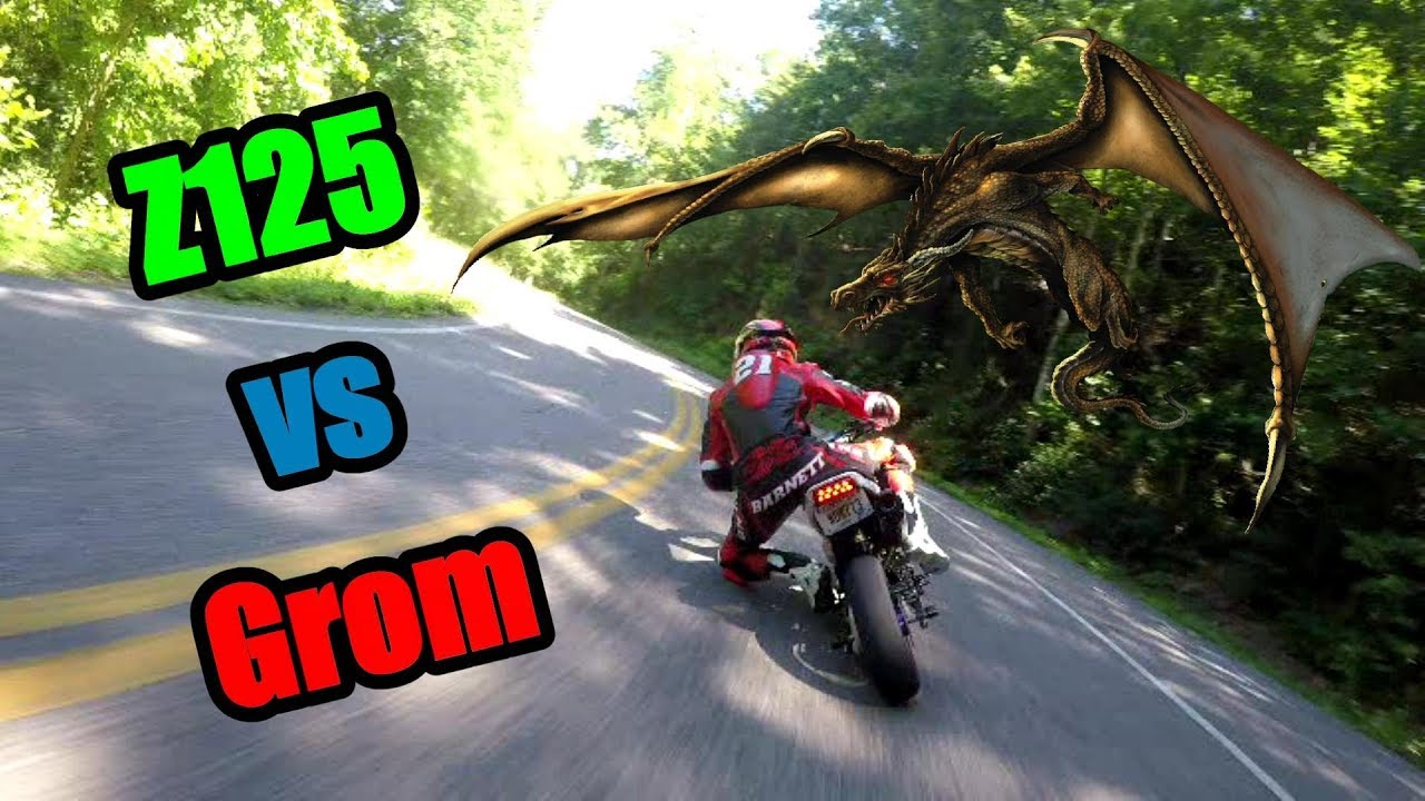 Groms and Z125 racing on Tail of the Dragon