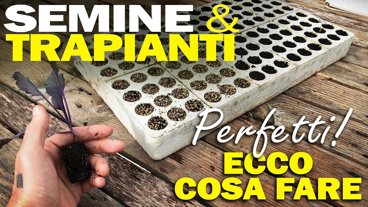 SEMINE e TRAPIANTI perfetti | TERRICCIO ideale, MICORRIZE, HUMUS di lombrico, VERMICULITE