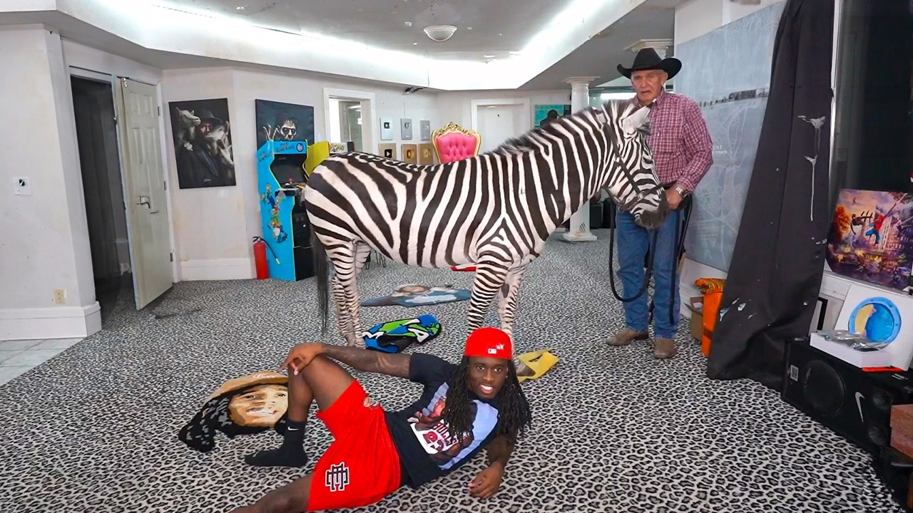 I Brought A Real Zebra In My Room!