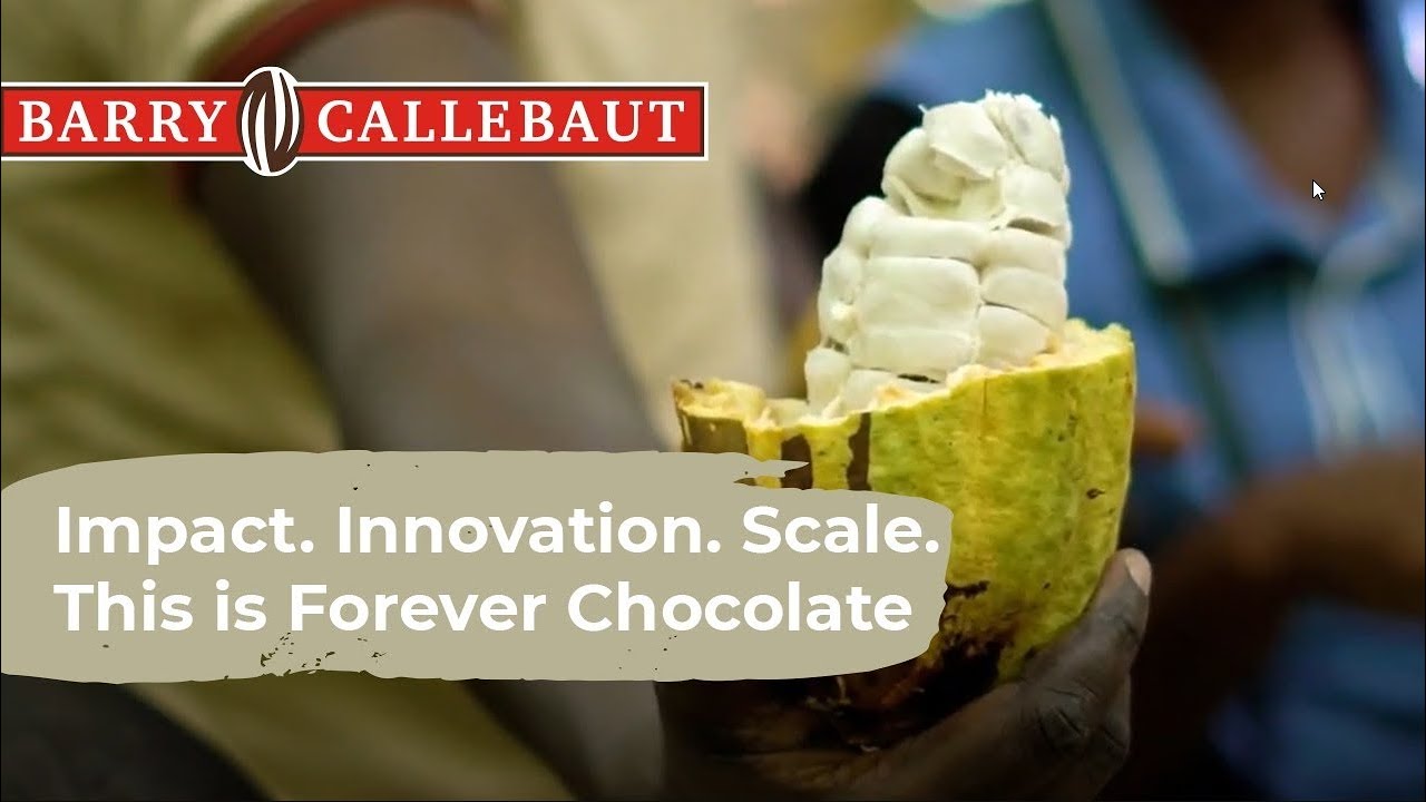 Impact. Innovation. Scale. This is Sustainability at Barry Callebaut.