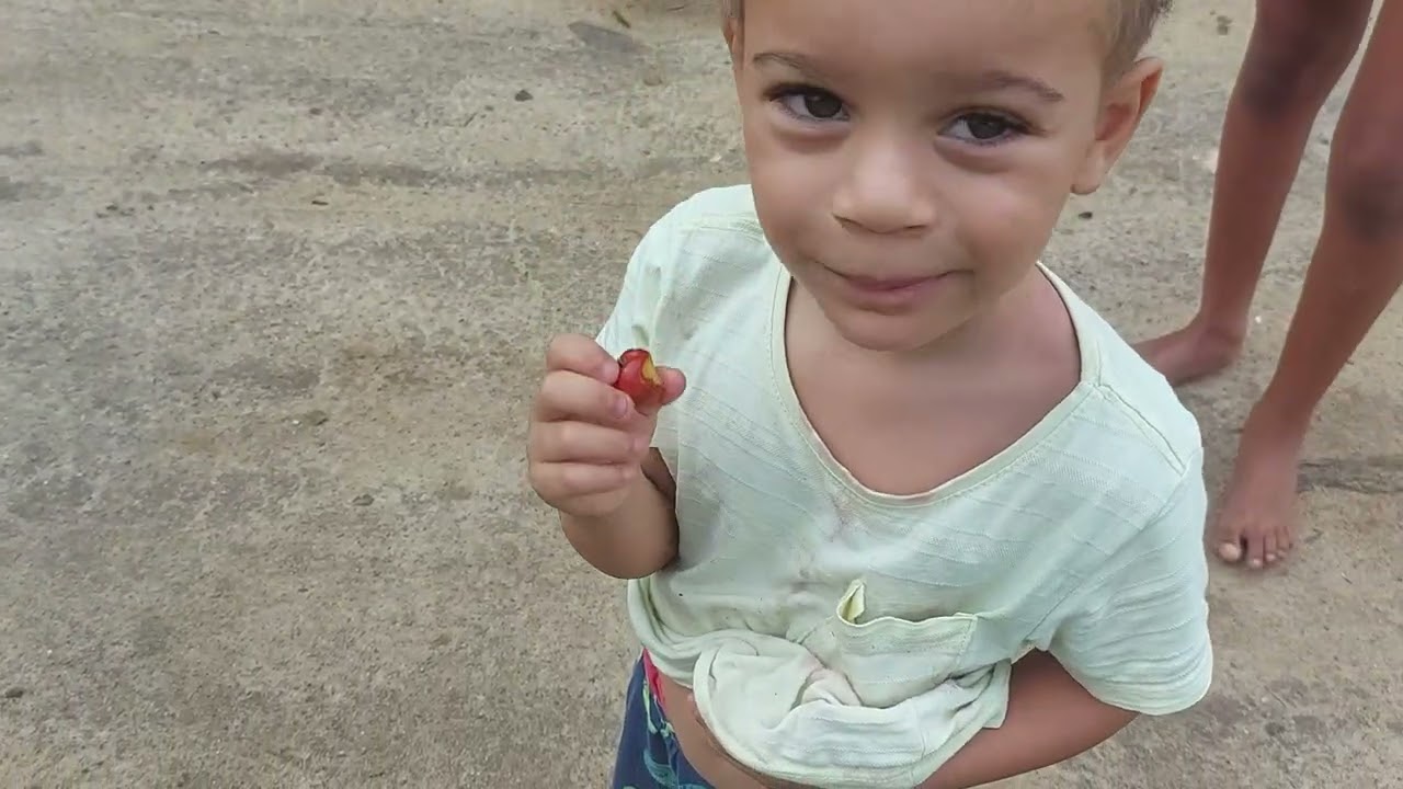 Pegando acerola 