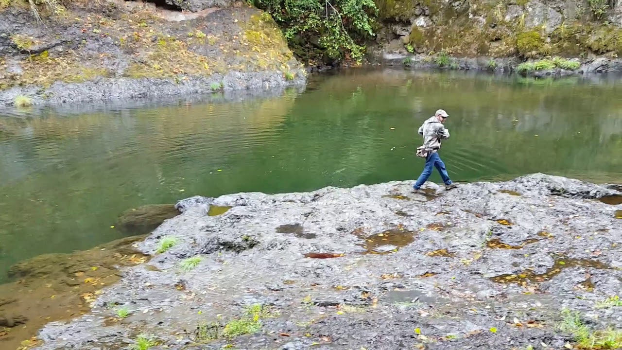 Wilson River, Oregon fishing - fish on