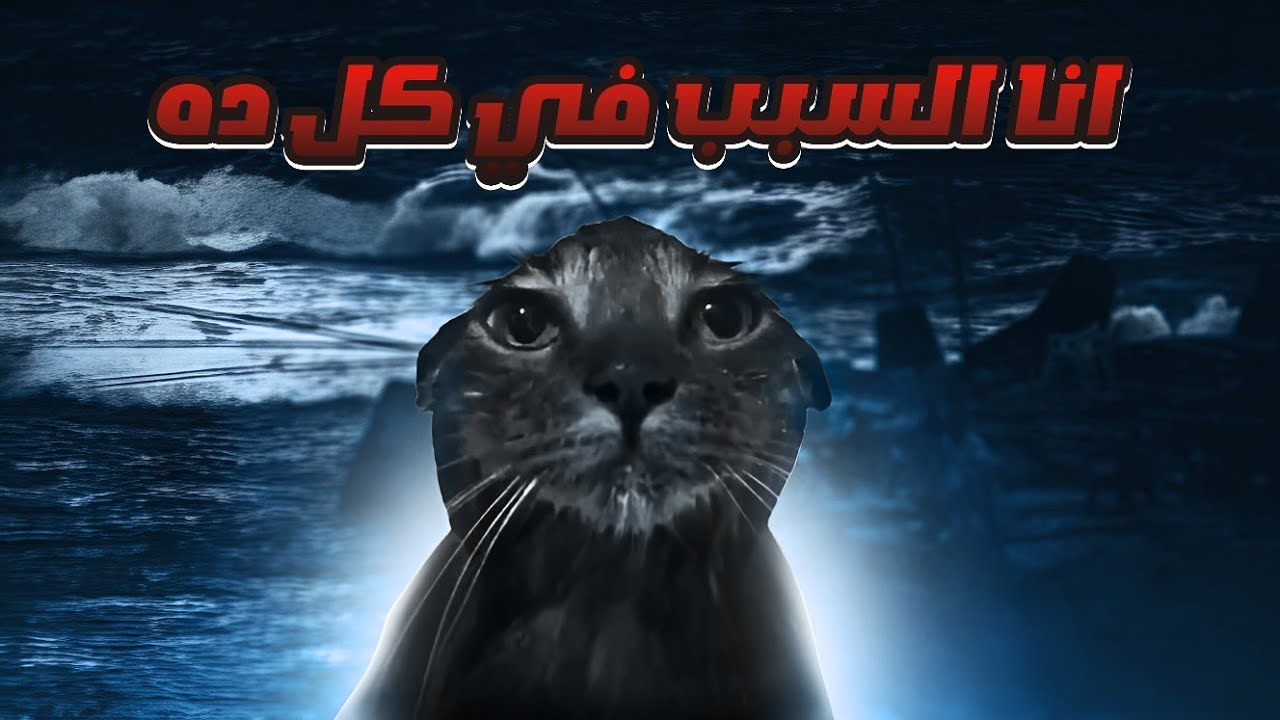 ازاي غرقت في البحر ومحدش حس بيا.؟!💔