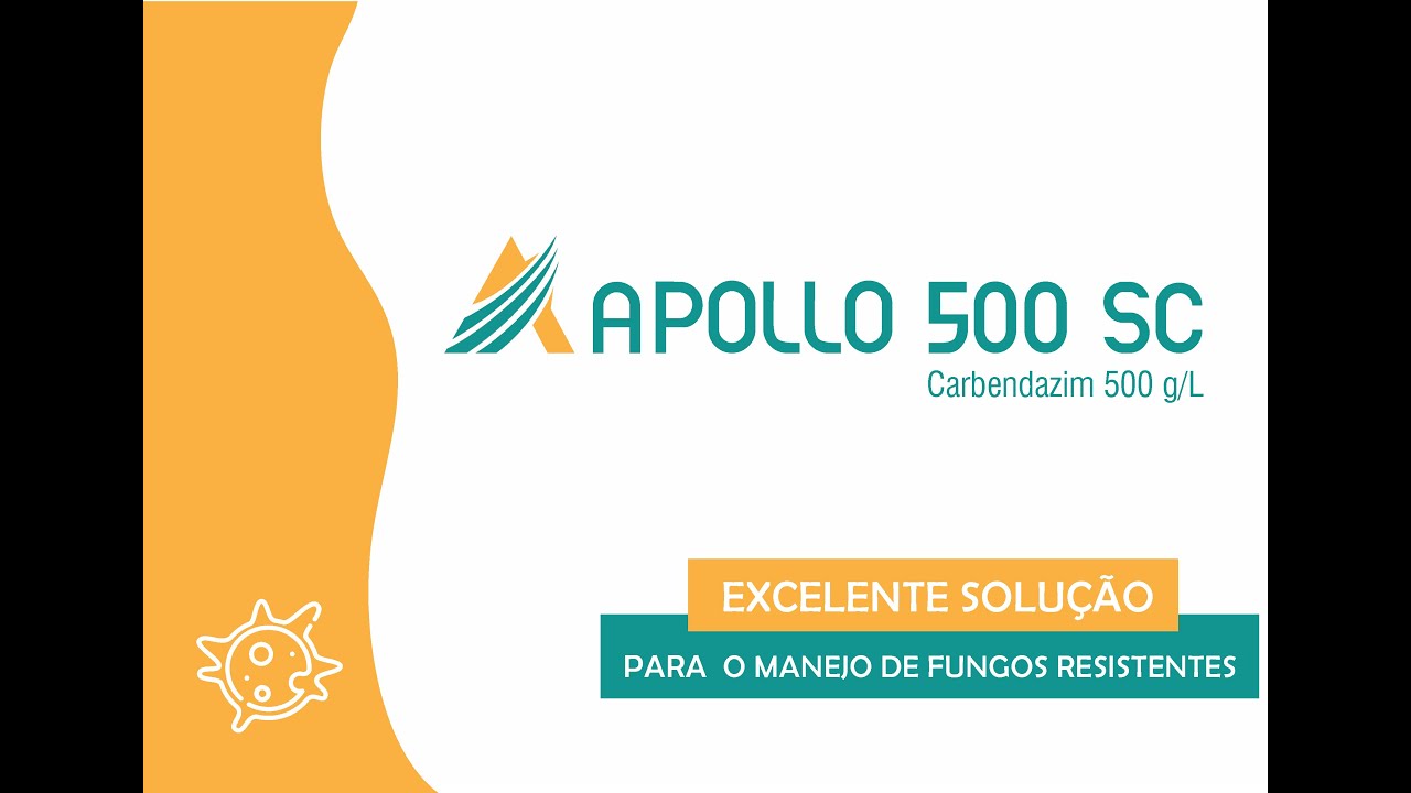 APOLLO 500 SC – Excelente solução para o manejo de fungos resistentes
