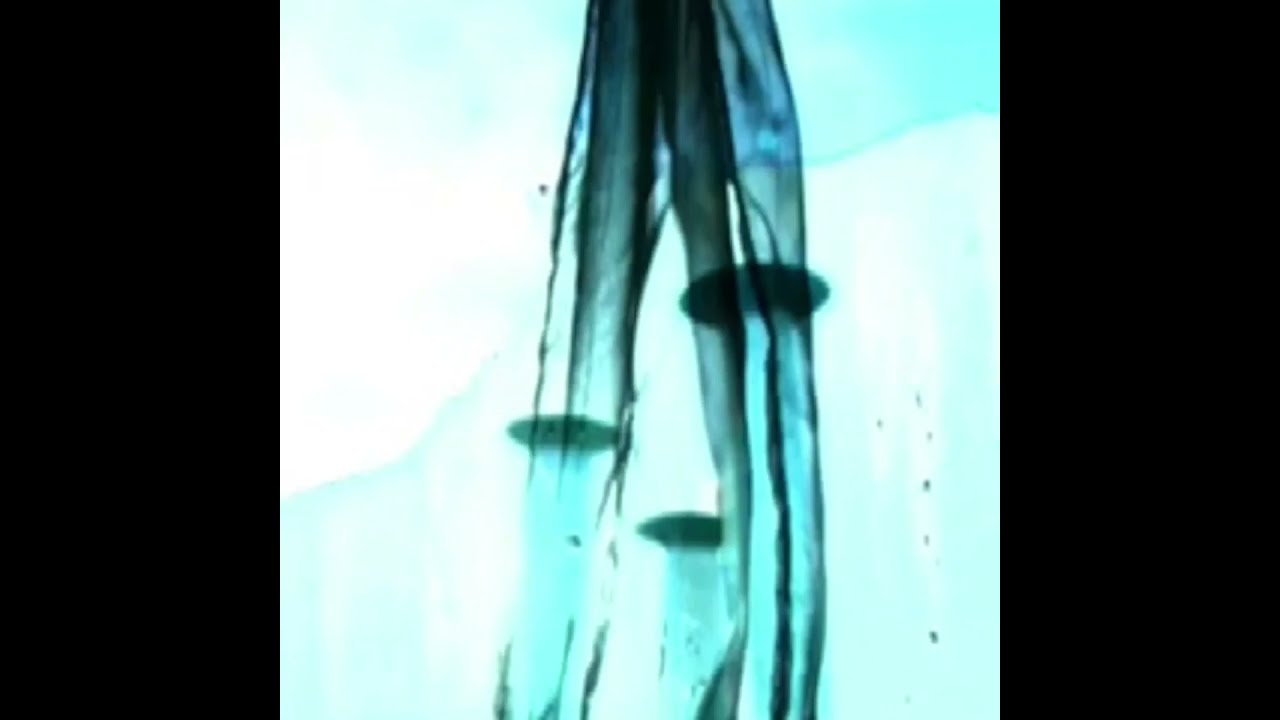 Frank's Gone (Faro Botafoch)
