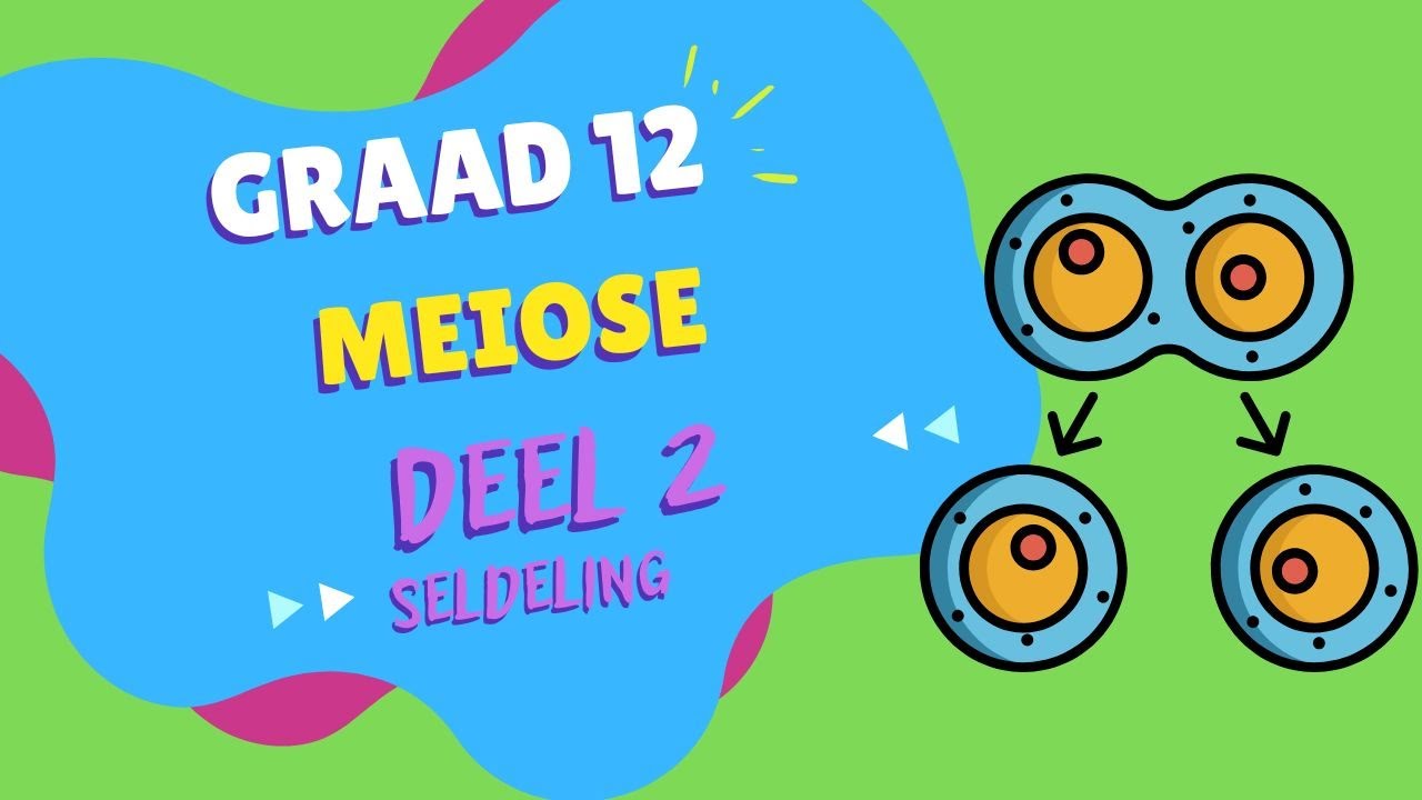 Meiose DEEL 2