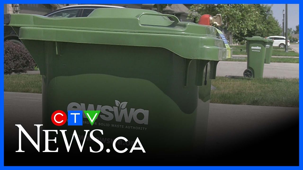 Green bins soon to be in use