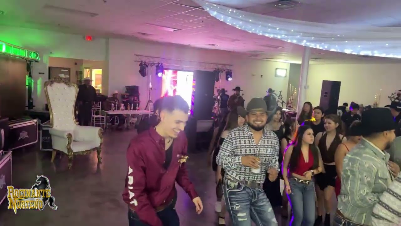 a matar cucarachas