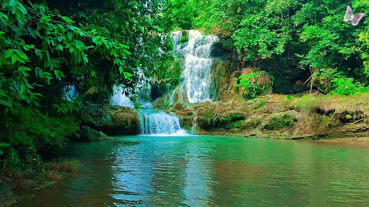 Healing Music for Stress, Anxiety & Depression 🌿 Calm Your Mind, Deep Sleep Relaxation 1