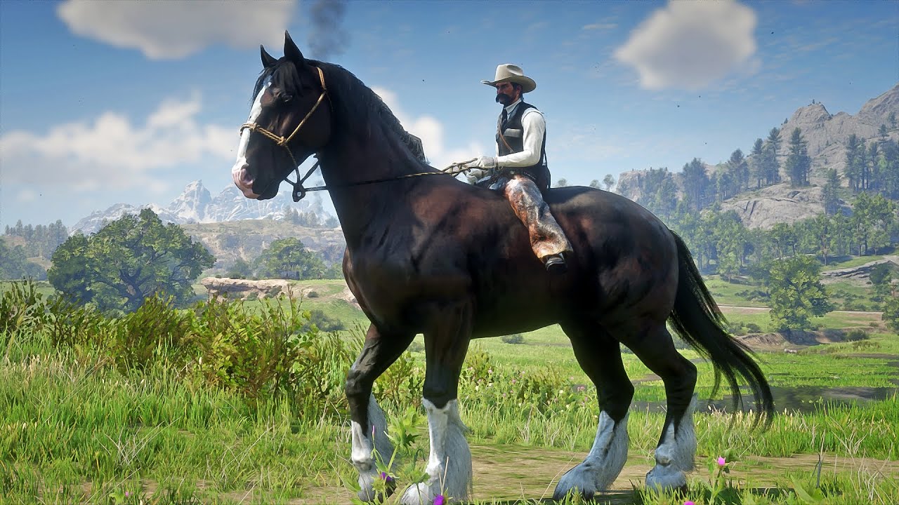 John Marston Tames Beautiful Huge Shire Dark Bay Horse at Heartland Overflow | RDR2