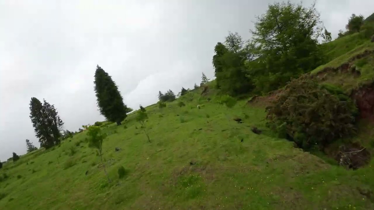FPV - TrainningDay (0049)