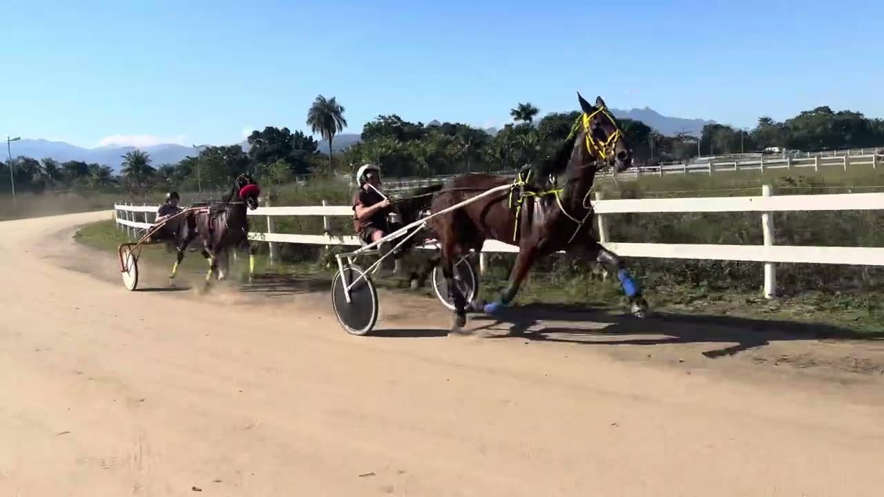 1º Pietra; 2º Estela
