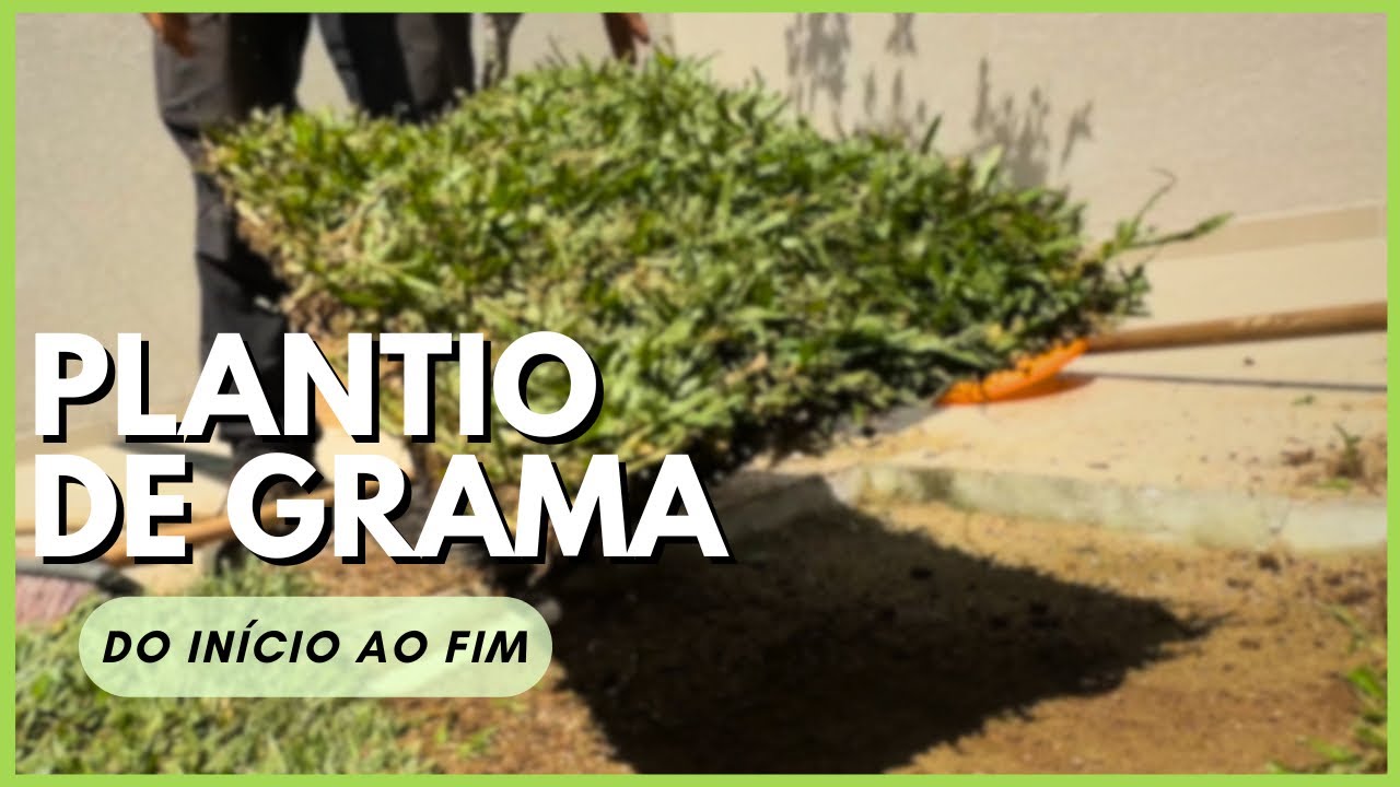 Como plantar grama na prática - Passo a passo (SIMPLES E FÁCIL) | Vida de Jardineiro