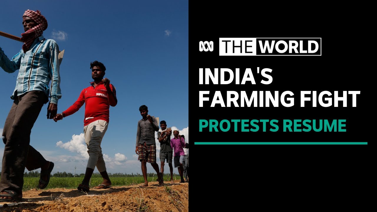India farming protests regain momentum one year after passage of controversial laws | The World