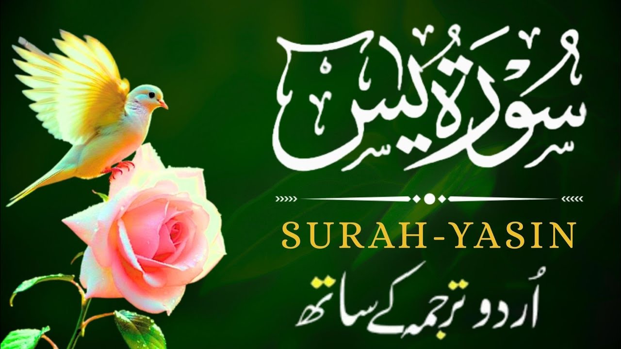 Surah Yaseen Episode 83 | With Urdu Translation | Heart Touching Tilawat | Zikr e Quran Recite