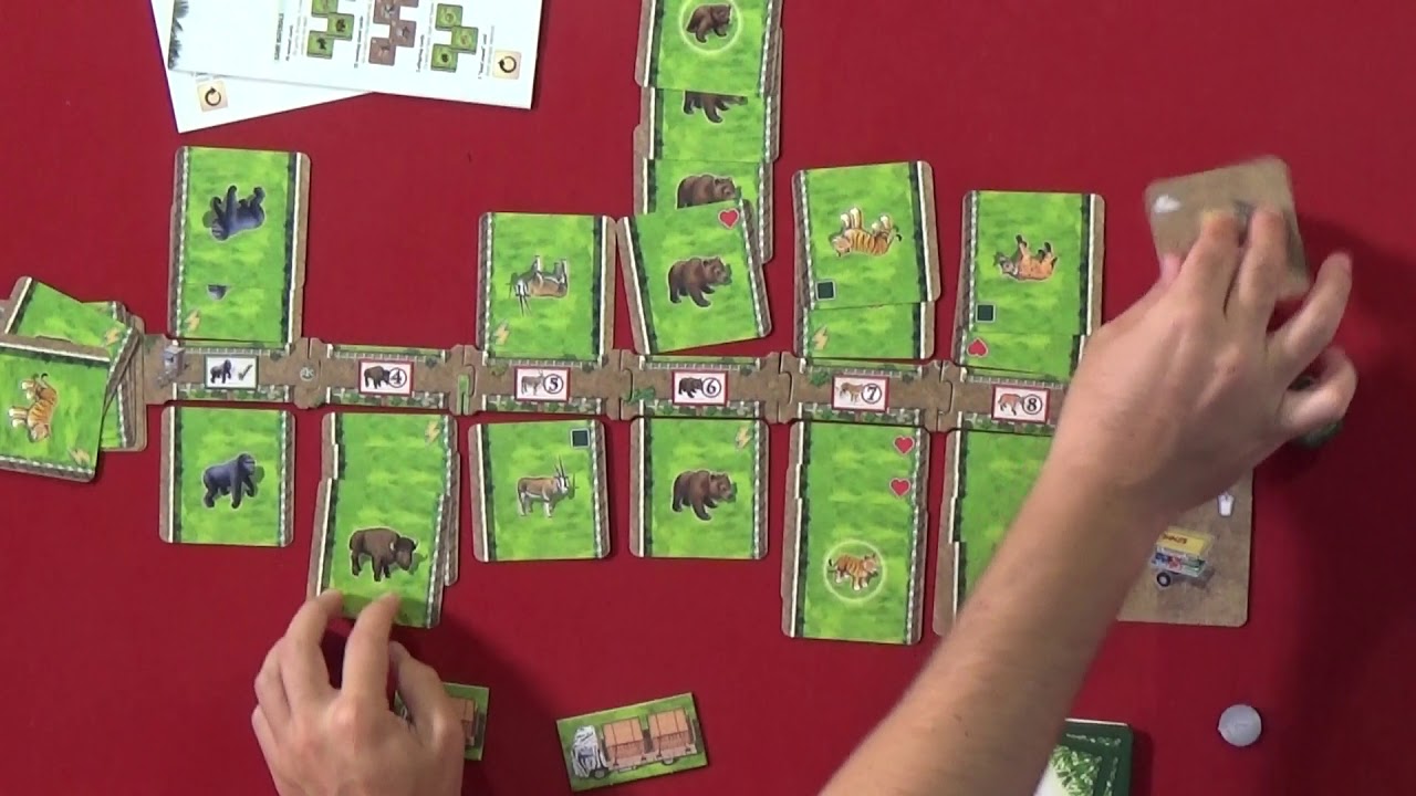 ZOOLORETTO DUELL VideoReseña y partida RDJ