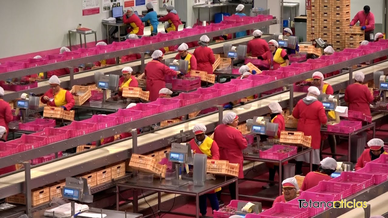 La Consejera de Agua y Agricultura, Sara Rubira, visita las instalaciones de la empresa Moyca