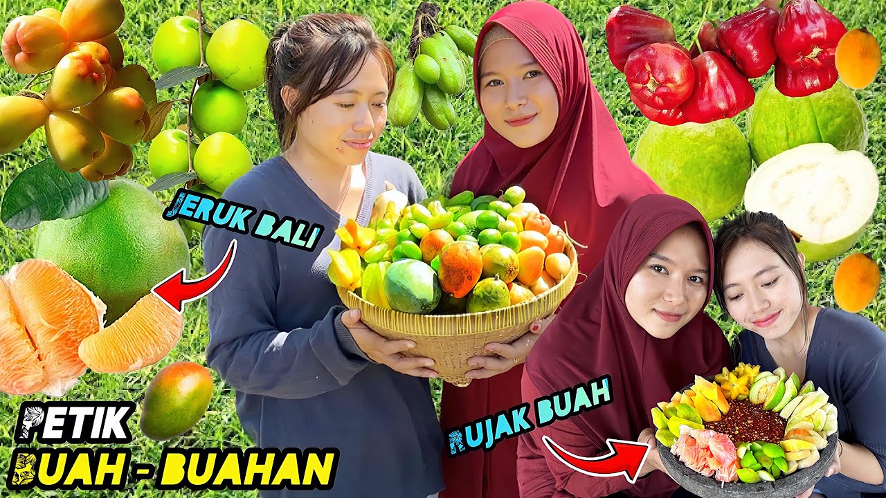 Petik buah-buahan dikebun | Rujak buah segar