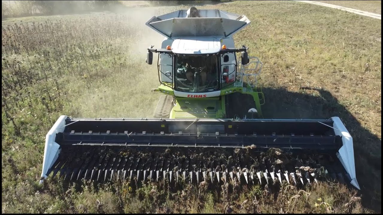 Moisson tournesol avec une CLASS Lexion 780 et une coupe Moresil GB 900