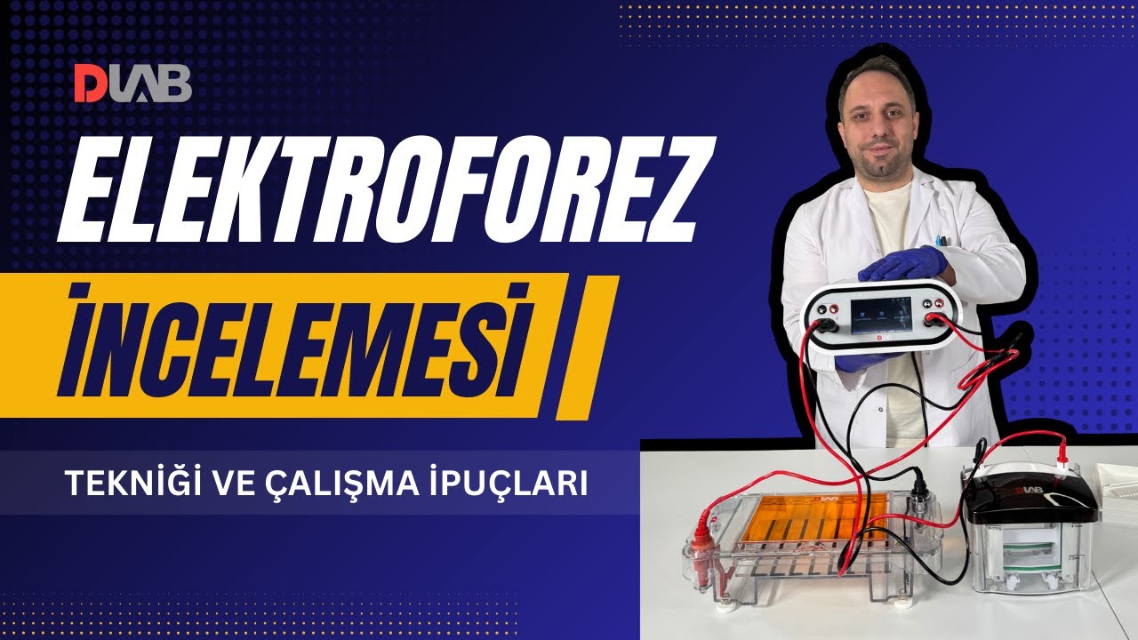 Jel Elektroforezi: Doğru Sistem, Doğru Sonuç | #DLAB Elektroforez Sistemleri İncelemesi