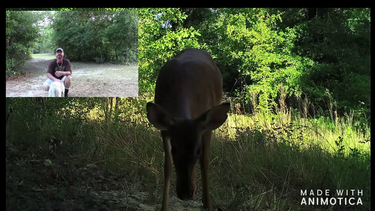 Buck Muscle Protein, don't take my word.  The proof's in the pics.