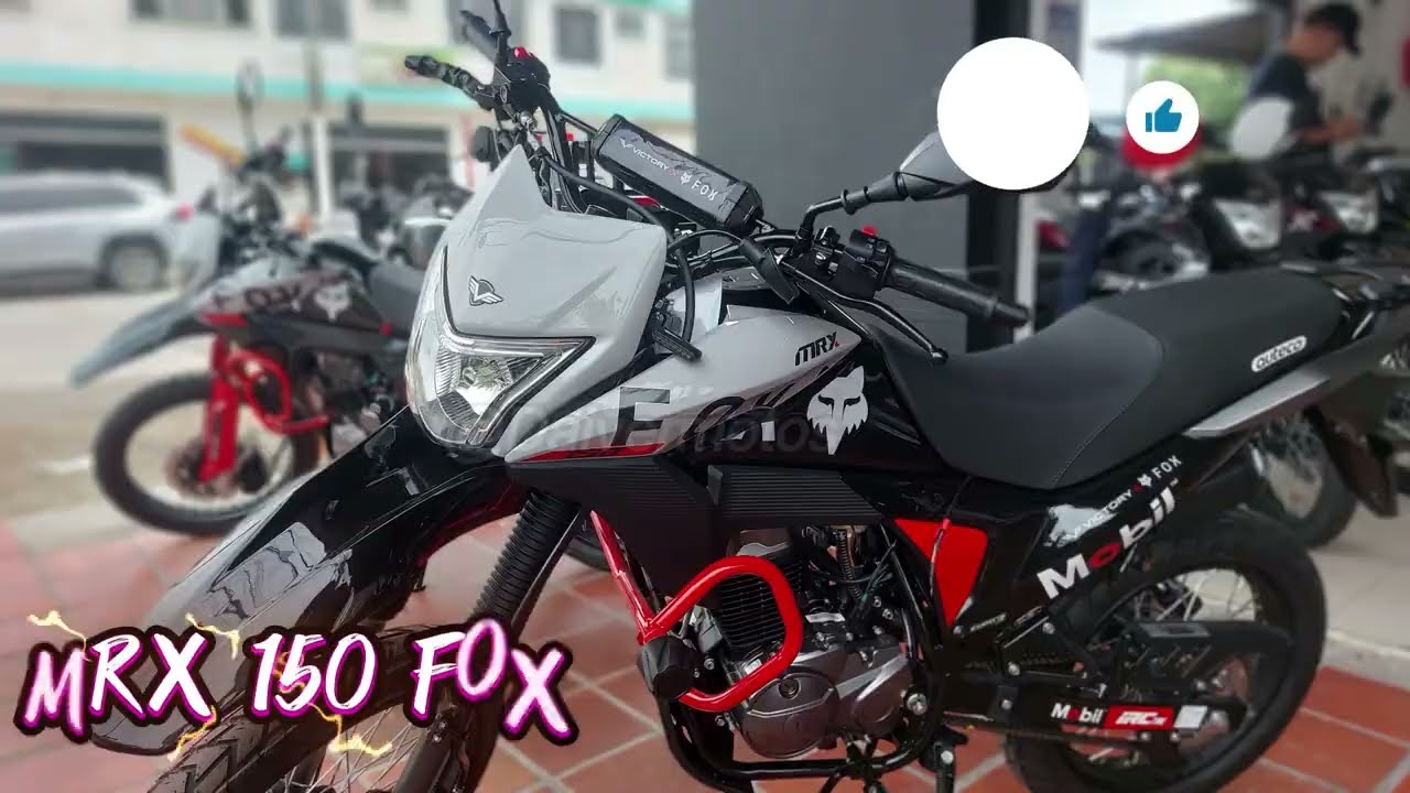 🔴 SUZUKI DR 150 ABS 🆚️ VICTORY MRX 150 FOX RACING 😱‼️ VICTORY MRX 150 ES LA REYNA‼️ @Daivermotos 