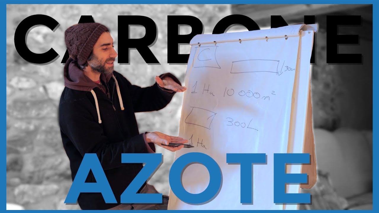 Azote et Carbone en Maraîchage sur sol vivant