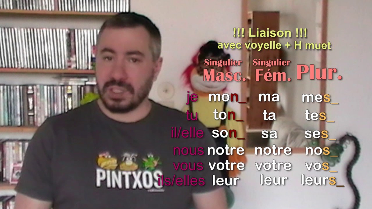 L'adjectif possessif mon, ma, mes, ton, ta .../ Apprendre le fran&ccedil;ais - cours de grammaire
