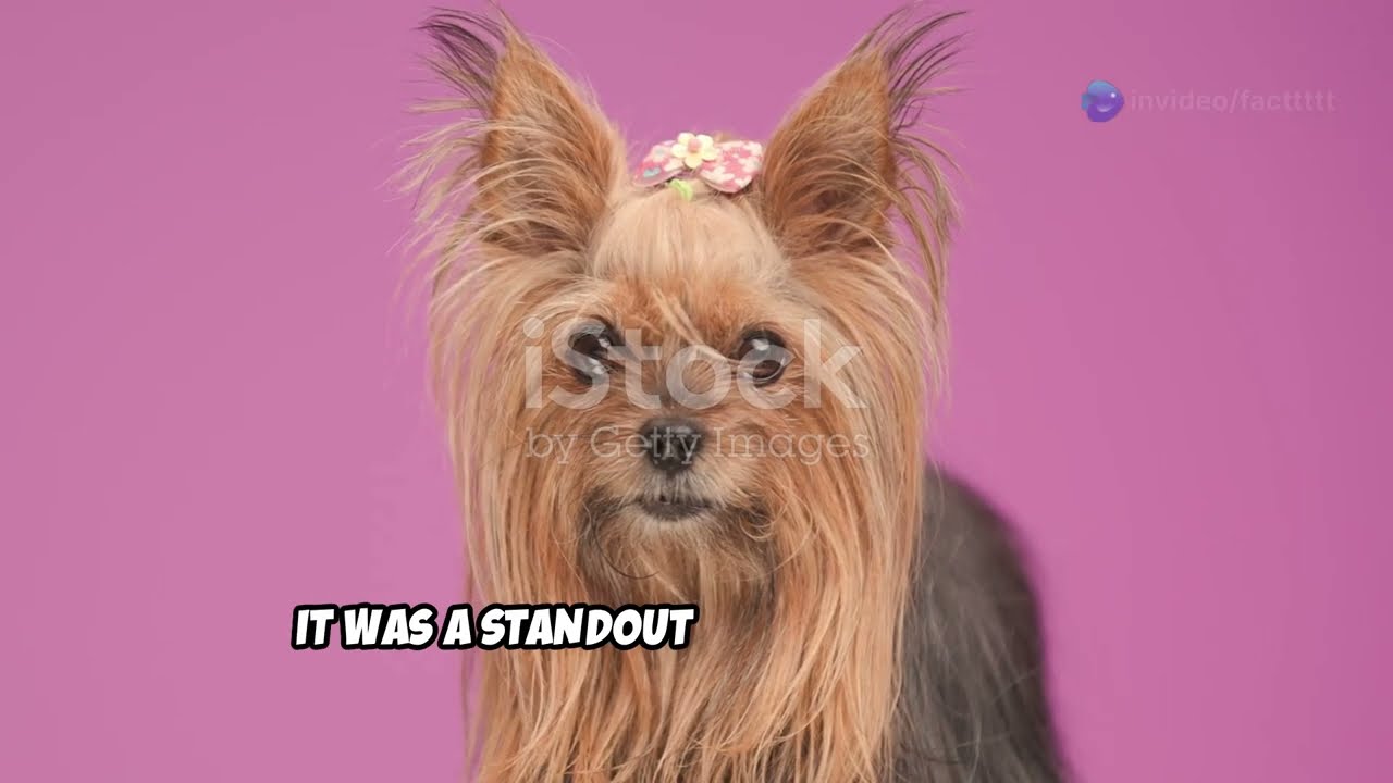 Top 10 Extinct Dog Breeds You Won't Believe Existed!