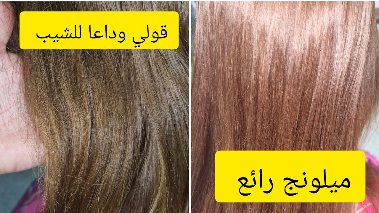 أجمل ميلونج لتغطية الشيب العنيد وينحيلك خالوطة الألوان في شعرك 👌 مناسب لجميع ألوان الشعر 